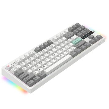 Havit Gamenote KB909L RGB TKL Blue Switch Kablolu/Kablosuz Mekanik Gaming Klavye