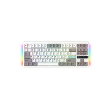 Havit Gamenote KB909L RGB TKL Blue Switch Kablolu/Kablosuz Mekanik Gaming Klavye