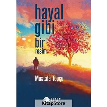 Hayal Gibi Bir Resim - Mustafa Topçu