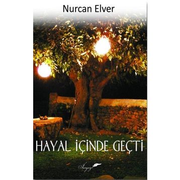 Hayal İçinde Geçti - Nurcan Elver