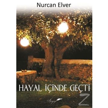 Hayal İçinde Geçti - Nurcan Elver