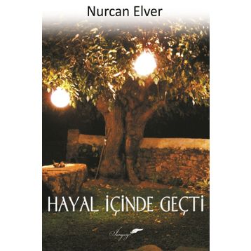 Hayal İçinde Geçti - Nurcan Elver