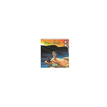 Hayal Sandığı Bambu Kitap