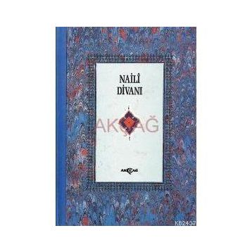 HAYALI DİVANI KUŞE - HAYALI