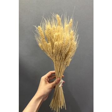 Hayalperest Boncuk Doğal Renk Buğday Kuru Çiçek