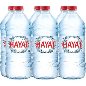 Hayat 1 lt Su