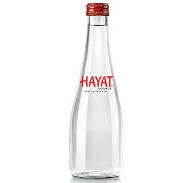 Hayat 330 ml Cam Şişe Su