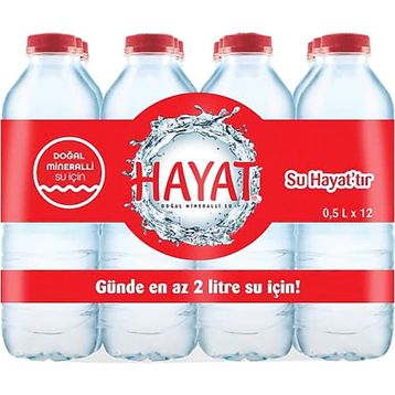 Hayat 500 ml Pet Şişe Su