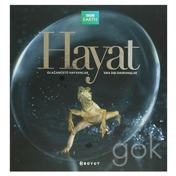 HAYAT - BÜLENT ÖZÜKAN