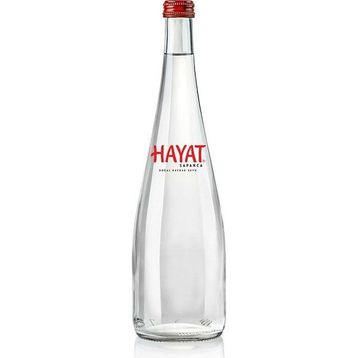 Hayat Cam 750 ml Su