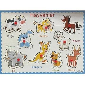Hayvanlar Alemi - Sedat Kaplan
