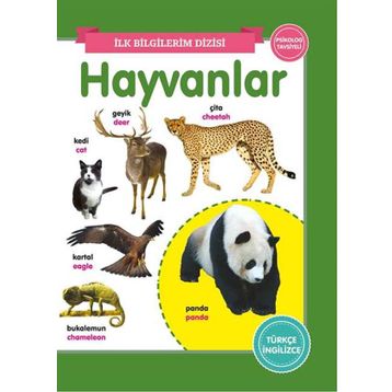 Hayvanlar – İlk Bilgilerim Dizisi - 0-6 Yaş Yayınları