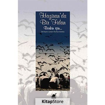 Haziran’da Bir Fidan - Levent Turhan Gümüş