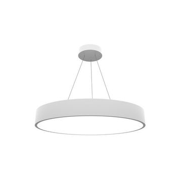 Hegza Lighting Beyaz Kasa Gün Işığı Led Avize