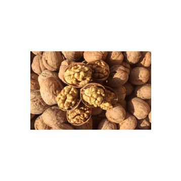 Hekimhan 250 ml Bitkisel Hindistan Cevizi Yağı