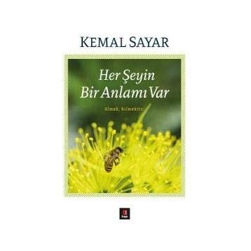 Her Şeyin Bir Anlamı Var - Kemal Sayar