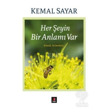 Her Şeyin Bir Anlamı Var - Kemal Sayar