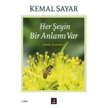 Her Şeyin Bir Anlamı Var - Kemal Sayar
