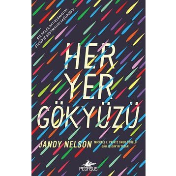 Her Yer Gökyüzü - Jandy Nelson