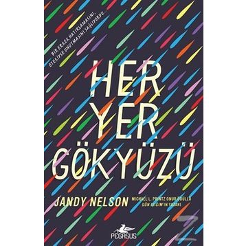 Her Yer Gökyüzü - Jandy Nelson