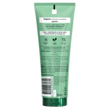 Herbal Essences Nane Kokulu 250 ml Saç Bakım Kremi