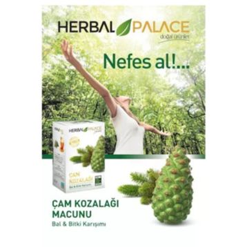 Herbal Palace 240 gr Çam Kozalağı Macunu