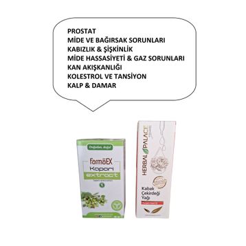 Herbal Palace 50 ml Kabak Çekirdeği Yağı