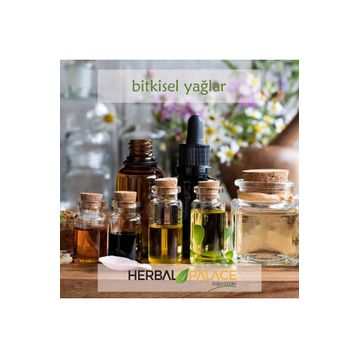 Herbal Palace 50 ml Kakao Yağı