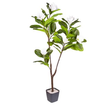 Herdekora Gerçek Dokulu 120 cm Yapay Manolya Ağacı