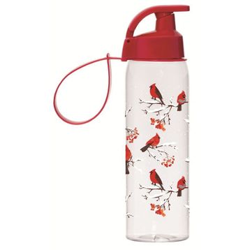 Herevin 500 ml Kırmızı Kuş Baskılı Askılı Matara/Suluk