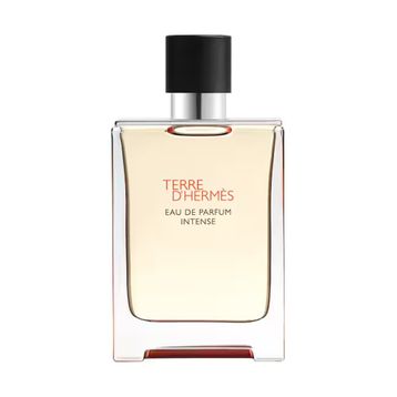 Hermes Terre D'Hermes Intense EDP 50 ml Erkek Parfümü