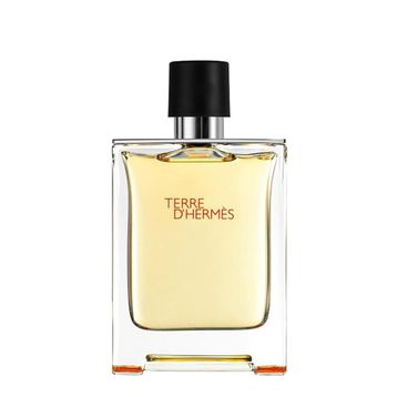 Hermes Terre D'hermès EDT 100 ml Sprey Erkek Parfüm