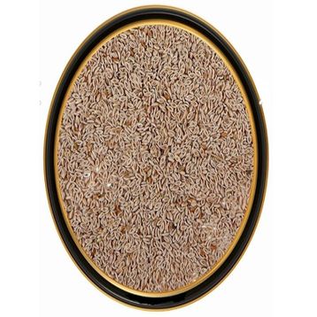 Heybeli Aktar Baharat 250 gr Karnıyarık Otu Tohumu