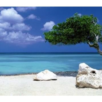 Heye Divi Divi Tree 1000 Parça Puzzle