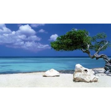 Heye Divi Divi Tree 1000 Parça Puzzle