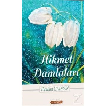 HIKMET DAMLALARI - ALI POLAT