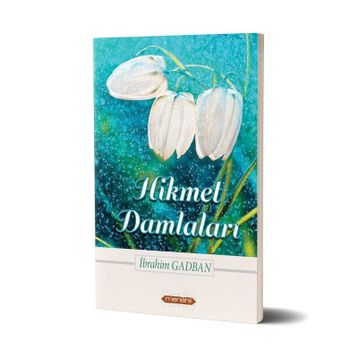 HIKMET DAMLALARI - ALI POLAT