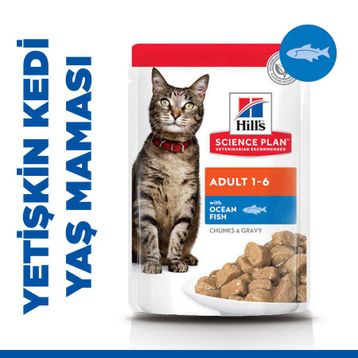 Hill's Tender Chunks in Gravy Okyanus Balıklı 85 gr Kedi Yaş Maması