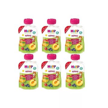 Hipp 6x100 gr Organik Orman Meyveli Şeftalili Elma Püresi (6 kg)