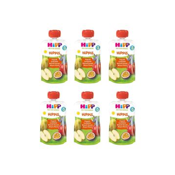 Hipp Organik Çarkıfelek Meyveli 6x100 gr Karışık Meyve Püresi