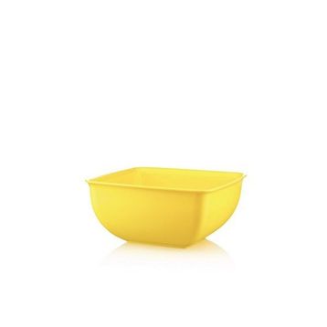 Hobby Life Plastik Mini Kare 6'lı Kase