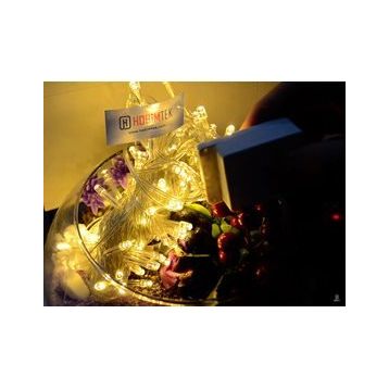 Hobimtek HT-16 Günışığı 10 mt Prizli 100 Ledli Fişli Dekoratif Led Işık