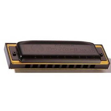 Hohner 562/20 MS Pro Harp Harmonika