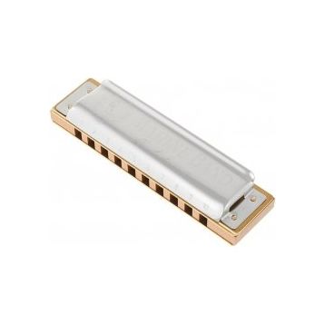 Hohner M364087 364/24 G Marine Band Sol Majör Mızıka
