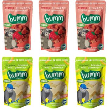 Humm 30 gr Organik 2'li Karma Vegan Mini Küpler Paketi