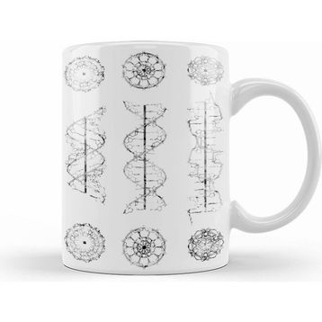 Humuts A B And Z Dna Kupa Bardak