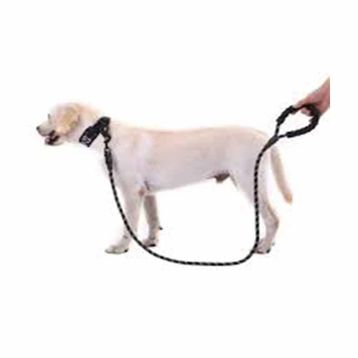 Huramarketing Orta ve Büyük Boy Köpekler İçin 130 cm Halat Reflektörlü Gezdirme Tasması