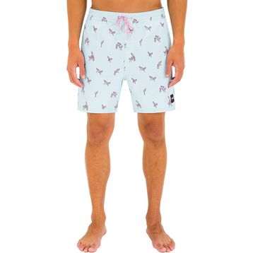 Hurley MBS0011030 Mavi Erkek Kaykay Şortu