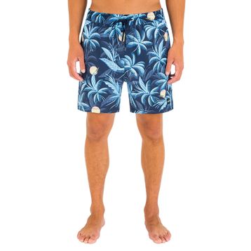 Hurley MBS0011030 Mavi Erkek Kaykay Şortu