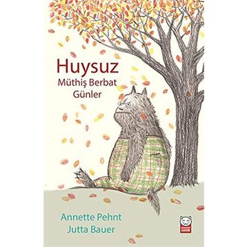 Huysuz - Müthiş Berbat Günler - Annette Pehnt